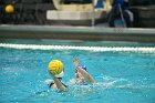 WWPolo vs CC  Wheaton College Women’s Water Polo compete in their sports inaugural match vs Connecticut College. - Photo By: KEITH NORDSTROM : Wheaton, water polo, inaugural